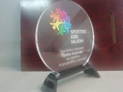 proizvodi-od-klirita-pk-sportske-igre-plaketa